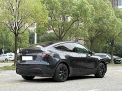Tesla Model Y Rear-Wheel Drive - ფოტო 4
