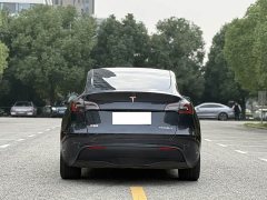 Tesla Model Y Rear-Wheel Drive - ფოტო 5