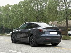 Tesla Model Y Rear-Wheel Drive - ფოტო 6