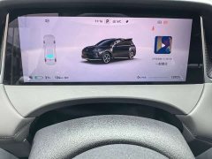 SAIC Shangjie H5 Pure Electric Pro - ფოტო 8