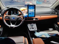 BYD e2 Luxury - ფოტო 5