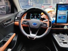 BYD e2 Luxury - ფოტო 6
