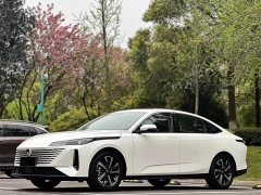 Changan Yida Blue Whale NE 1.5T GDI DCT Navigator - photo 1