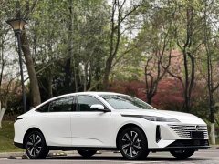 Changan Yida Blue Whale NE 1.5T GDI DCT Navigator - photo 3
