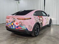 Nio Lerado L60 60kWh Rear-Wheel Drive - фото 6