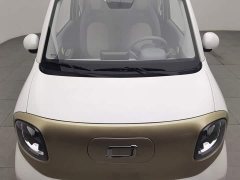 FAW Besturn Xiaoma 222km Lightning Edition - ფოტო 6