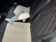 BYD Seal Champion Edition 550km Luxury - photo 18