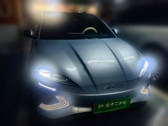BYD Seal Champion Edition 550km Luxury - photo 2