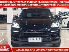 Porsche Cayenne 3.0T Platinum Edition - ფოტო 2