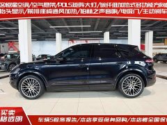 Porsche Cayenne 3.0T Platinum Edition - ფოტო 3
