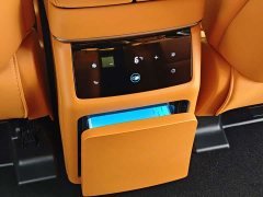 Great Wall WEY Shanshan New Energy Four-Wheel Drive Shanshan 8 - photo 10