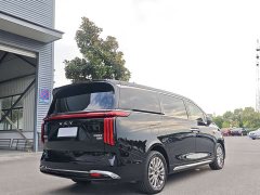 Great Wall WEY Shanshan New Energy Four-Wheel Drive Shanshan 8 - photo 13
