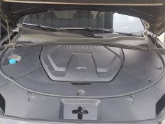 BYD Song Plus New Energy DM-i 110km Flagship Honors Edition - photo 10