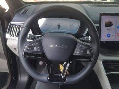 BYD Song Plus New Energy DM-i 110km Flagship Honors Edition - photo 15