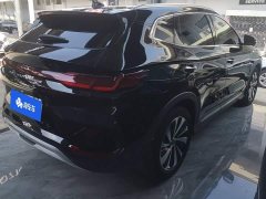 BYD Song Plus New Energy DM-i 110km Flagship Honors Edition - photo 3