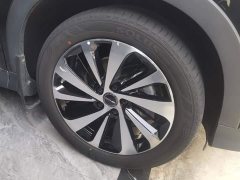 BYD Song Plus New Energy DM-i 110km Flagship Honors Edition - photo 6