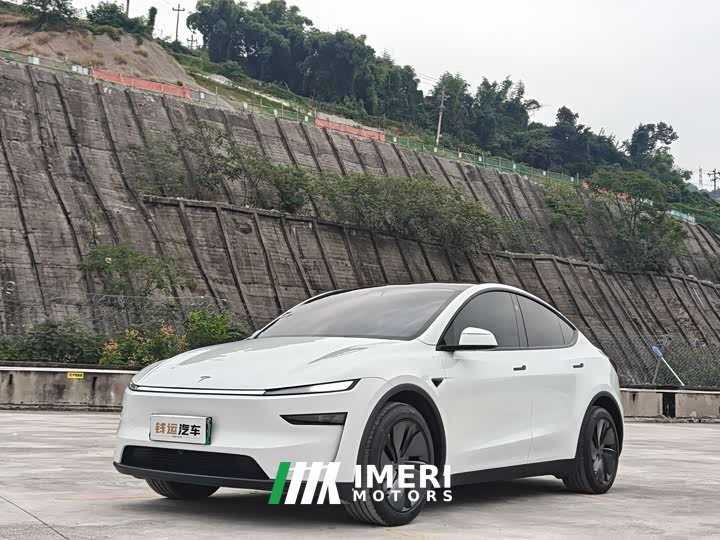 Tesla Model Y Rear-Wheel Drive