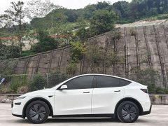 Tesla Model Y Rear-Wheel Drive - фото 10