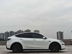 Tesla Model Y Rear-Wheel Drive - фото 2
