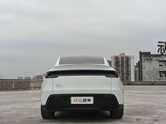 Tesla Model Y Rear-Wheel Drive - фото 6