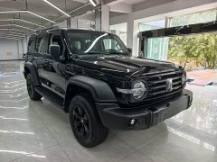 Tank 300 2.0T Gasoline Conqueror - photo 6