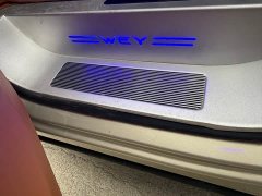 Great Wall WEY Shanshan New Energy Four-Wheel Drive Shanshan 8 - photo 6
