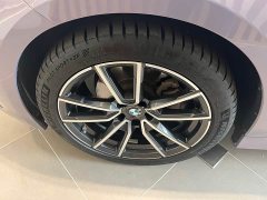BMW 3 Series 320Li M Sport Package - photo 10