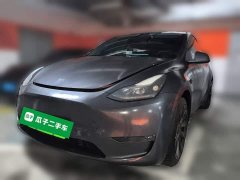 Tesla Model Y Facelift Long Range All-Wheel Drive - ფოტო 1