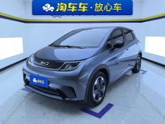 BYD Dolphin 420km Freedom Edition - photo 1