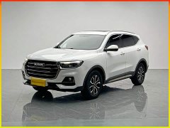 Haval H6 National Trend Edition 1.5T Automatic Urban Version - ფოტო 1