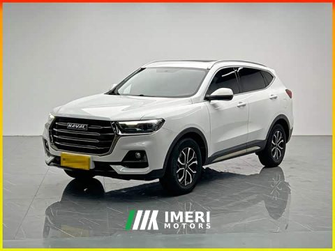 2021 Haval H6 National Trend Edition 1.5T Automatic Urban Version - ავტომობილი ჩინეთიდან