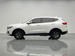 Haval H6 National Trend Edition 1.5T Automatic Urban Version - ფოტო 3