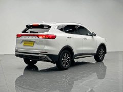 Haval H6 National Trend Edition 1.5T Automatic Urban Version - ფოტო 6