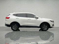 Haval H6 National Trend Edition 1.5T Automatic Urban Version - ფოტო 7