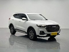 Haval H6 National Trend Edition 1.5T Automatic Urban Version - ფოტო 8