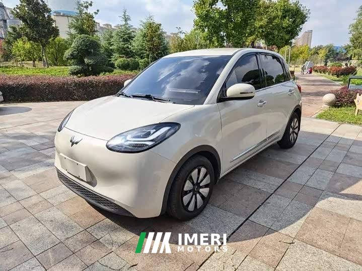 Wuling Binguo 203km Comfort Edition - car from China