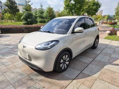 Wuling Binguo 203km Comfort Edition - photo 1