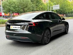 Tesla Model 3 Rear-Wheel Drive - photo 10