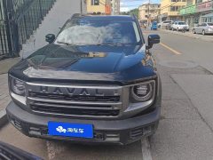 Great Wall Dachshund 1.5T DCT Labrador Edition - ფოტო 2