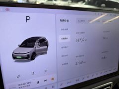 Li Auto L6 Max - ფოტო 11