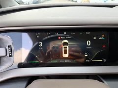 Denza D9 DM-i 970 AWD Flagship - ფოტო 11
