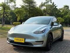 Tesla Model Y Rear-Wheel Drive - ფოტო 1