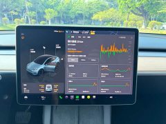 Tesla Model Y Rear-Wheel Drive - ფოტო 10