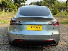 Tesla Model Y Rear-Wheel Drive - ფოტო 12