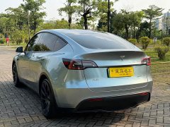 Tesla Model Y Rear-Wheel Drive - ფოტო 13
