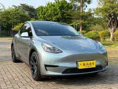 Tesla Model Y Rear-Wheel Drive - ფოტო 3