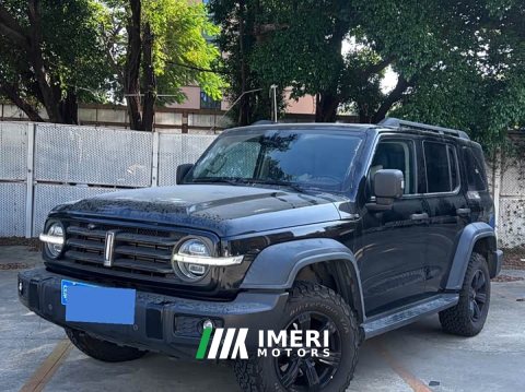 2021 Tank 300 Off-Road Edition 2.0T Conqueror - ავტომობილი ჩინეთიდან