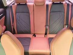 Changan Eado PLUS Blue Whale NE 1.4T GDI DCT Luxury Edition - photo 10