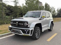 GWM Tank 300 2.0T Cyber GWM - ფოტო 1