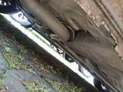 Buick Excelle Pro Comfort Edition - ფოტო 18